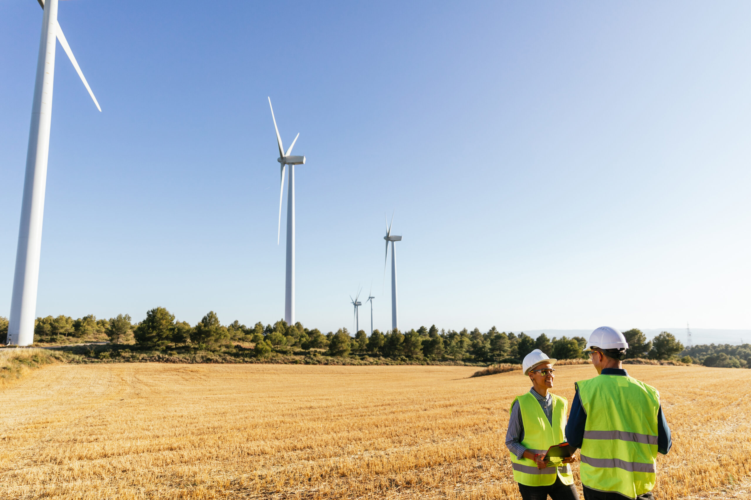 Engineers working at alternative renewable wind energy farm.