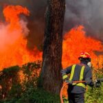 El Poder Judicial constata que las sedes judiciales de los partidos afectados por los incendios funcionan con normalidad